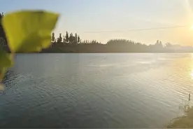 不要轻易删除自己的文章图片