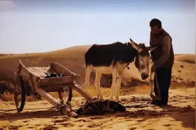 《隐入尘烟》揭露的5个人生真相，虐哭千万成年人图片