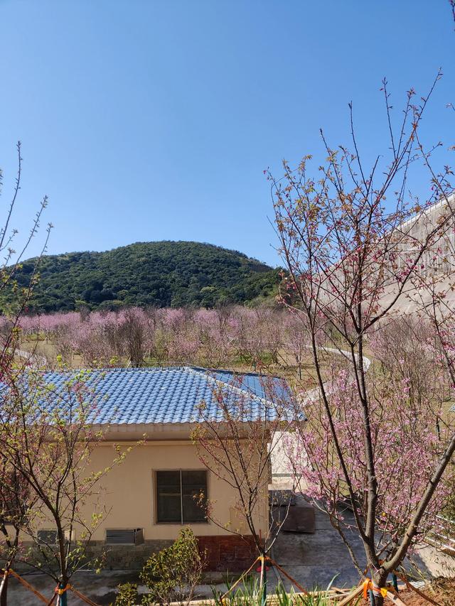 ���˽ڽ��յ��ر�-��ӣ��?