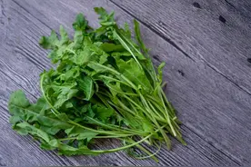 春天常见的5种野菜，实际上是5味良药，正确使用可驱除病邪图片