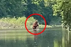 神秘的密歇根三角洲，出现红毛野人手抱孩子过河图片