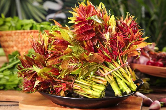 新鲜的香椿芽怎么吃,香椿两吃,春天独有的香味,吃一口,满嘴香气,最近