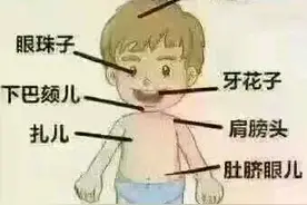 逐渐消失的东北方言土语大全简单解释版续篇之三：身体器官的别称图片