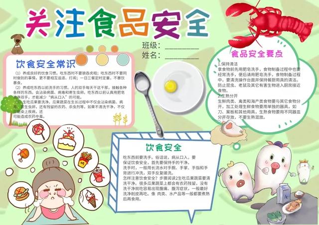 手抄报—安全教育文字版