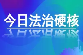 上海交警：乘车坐后排不系安全带也要罚！| 今日法治硬核图片