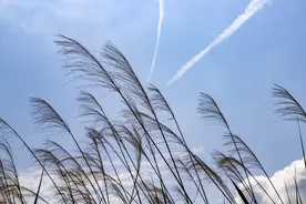 不要刻意追求结果图片