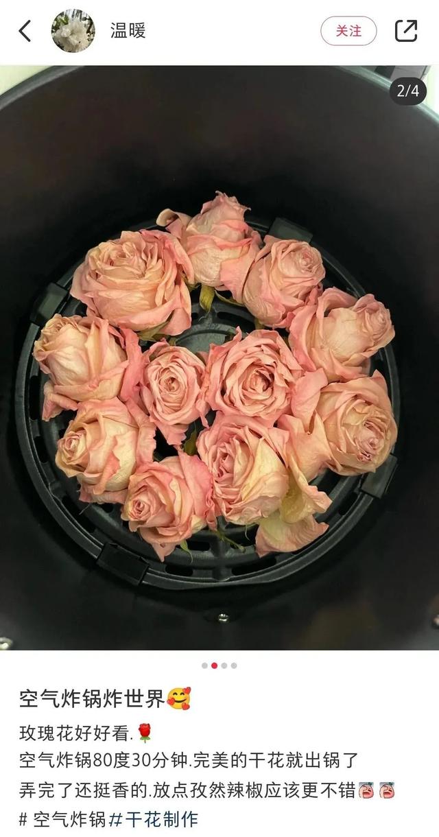 谁再给我安利空气炸锅，我一巴掌一个