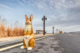 生肖兔和谁关系最好？最怕什么人图片