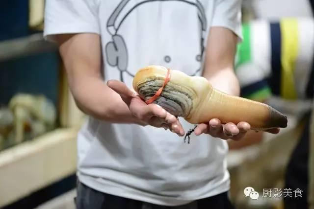 什么海鲜胶原蛋白最多 2025年海鲜含有胶原蛋白吗