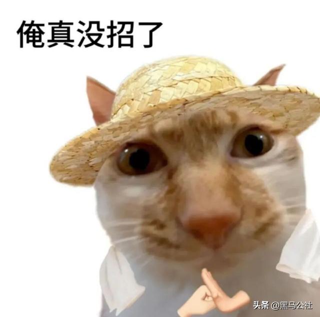 国产机被骂惨的设计，苹果学到了精髓