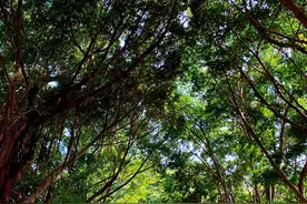 你，如果不想被人拿捏，请学会“闭嘴”图片