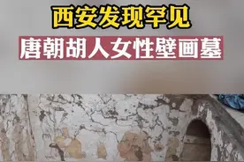 西安发现罕见唐朝胡人女性壁画墓图片