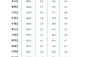 济南各区县上半年GDP排行榜公布！历下槐荫起步区增速居前三图片
