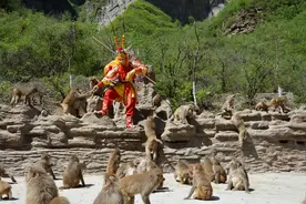 DAY1|济源牡丹园里的“绿野仙踪”，五龙口风景区穿越“大话西游”图片