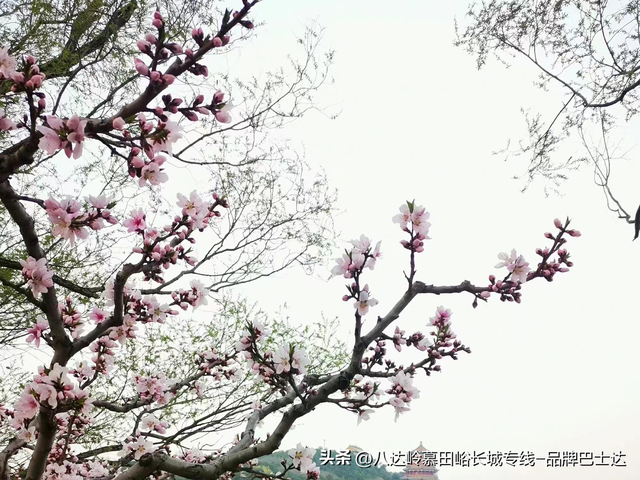 第一次去颐和园？门票&路线避坑指南来了❗