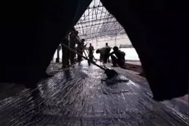 ​香云纱，盛夏时节的优雅图片