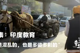 《他乡的童年》之印度现实版“起跑线”教育给我的几点启发图片