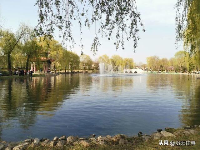 汾阳往事｜殷维明：杏花村游记——汾酒工业园林赏杏花