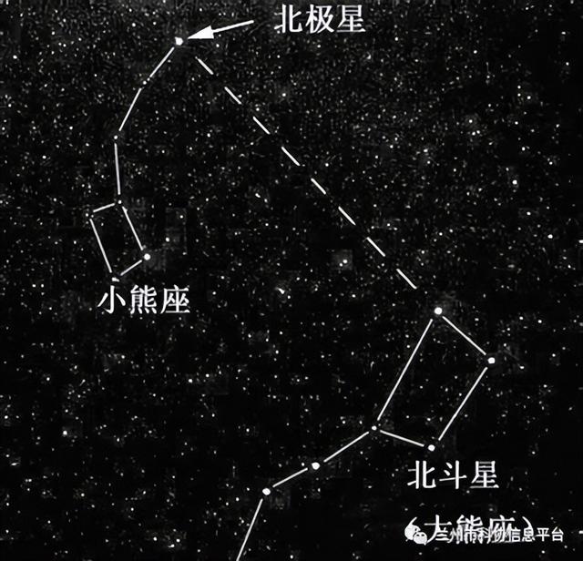 大自然的指南针