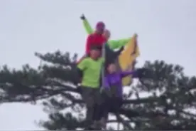 4名游客爬景区松树顶上拍照，景区回应：现在不对外开发，出了事不负责图片