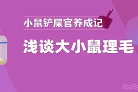你知道你的鼠为啥变秃吗图片