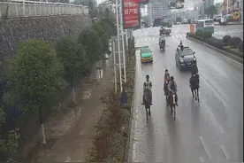纳雍城区道路上骑马“散步”？纳雍交警这样做……图片
