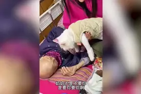 （视频）@太原人，泪目！九旬奶奶对猫咪说的话听哭了图片