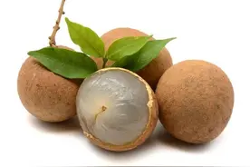 桂圆竟能改善长期失眠？它该如何吃效果才好？教你6大食疗方！图片