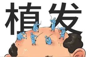 任泽平进击百亿“生发”市场，我的秃头，到底谁来拯救？图片