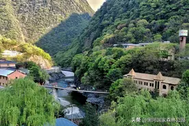 【源来周至，多来多福】黑河带着千元旅游优惠券回馈粉丝啦！这个春天，让你畅游周至！图片