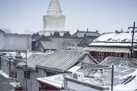 帕金森病的诊疗（诊断/实用总结一）图片