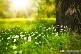 怎样晒太阳最有益图片