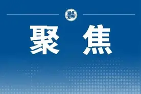 总规模100亿！湖北省楚天凤鸣科创天使基金发布图片