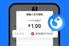 花呗联合南京银行上线“随处花”服务，上线专属银行卡图片