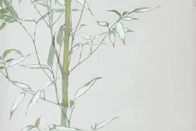 关于人人平等的说法图片