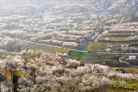 蓝田县赏花踏青休闲游线路入选“陕西20条春季休闲农业和乡村游精品线路”图片