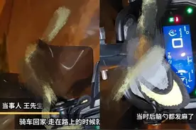 吓麻了！陕西惊现“鸡冠蛇”原型，无毒牙为何却比眼镜王蛇还毒？图片