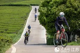 全域旅游的宜兴样本：“高大上”+“小而美”图片