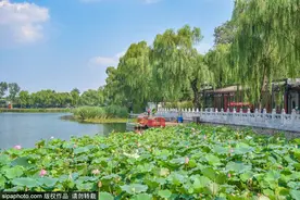 北京微旅行线路 | 漫步城市公园，生活从来不缺美好！图片