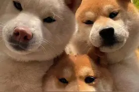 股票开户选择哪家券商佣金是最低的?图片