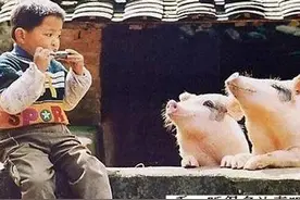 我的家乡在河南，老家的方言听着最亲图片