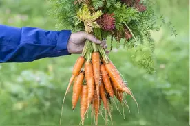 如果两国交手，中国的粮食够吃多久？现实远比想象严峻图片