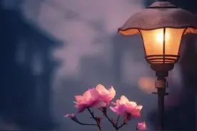 明人不说暗话，我很羡慕会开车的女人图片