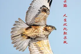 每日一吉|6月8日 轻装策马青云路，人生从此驭长风图片