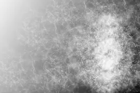 一文读懂数仓中的pg_stat图片