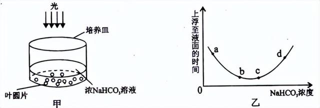 高中生物-细胞代谢