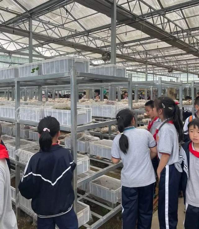 四川省民生研究会新媒体中心-官网