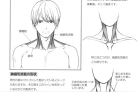 「绘画教程」男性肩颈和背部绘制教程 ​​​​（人体教程）图片