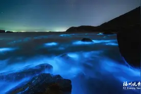 今年首次！“蓝眼泪”现身长乐海域图片