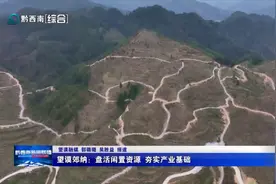 望谟郊纳：盘活闲置资源 夯实产业基础图片